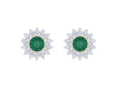 Gold & Diamond Women Gemstone Earring KRC40630E