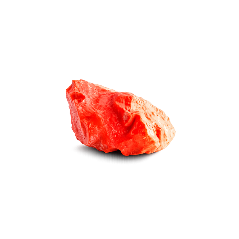 Coral Composition