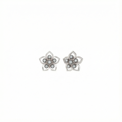 18K Gold & Diamond Earring For Women PER-73