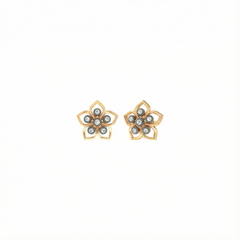 18K Gold & Diamond Women Engagement Earring KER-73