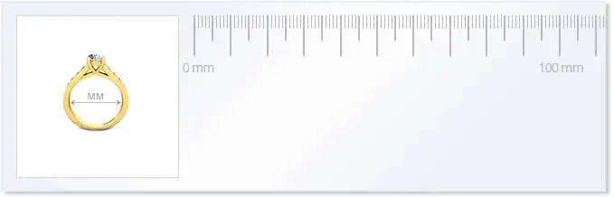 Ring Guide